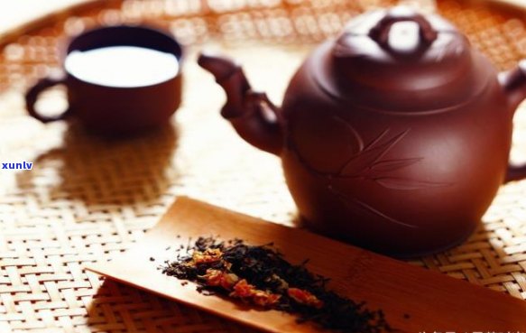 普洱茶招商网官网：提供普洱茶招商加盟方案，吸引众多茶商关注。