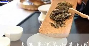 长春普洱茶 *** 公司：一站式解决您的茶叶需求与 *** 问题