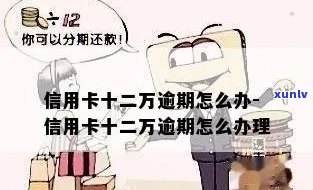 信用卡逾期12万怎办