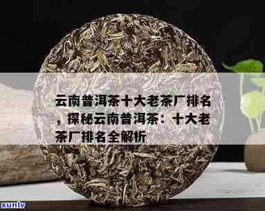 云南地区优质普洱茶厂最新排行，百强力荐