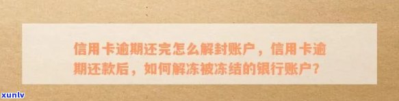 逾期未还款的信用卡账户如何解除冻结并恢复信用？