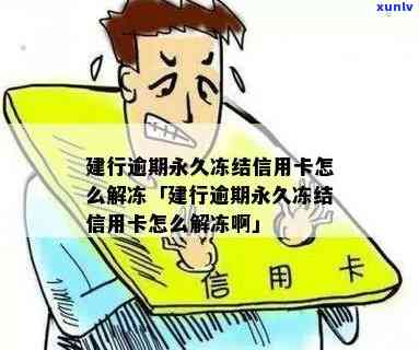 建行信用卡逾期后被永久冻结的解冻策略及应对 *** ，如何恢复使用？