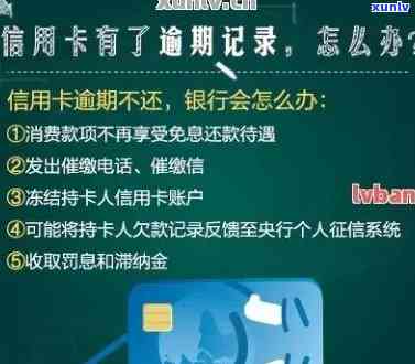 聘号普洱茶1912熟茶1000克价格：了解这款普洱茶的最新价格和品质。