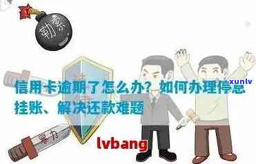 信用卡逾期不能停息挂账怎么办？如何处理这种情况？