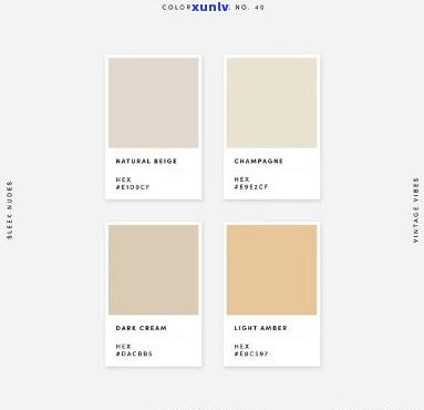 象牙色颜色：它的含义、种类及表现形式