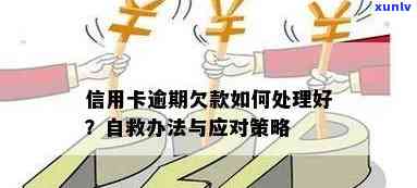 逾期信用卡还款策略：如何有效自救与避免陷阱