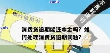 金融产品逾期处理 *** ：如何应对消费金融任性行为