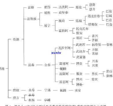 个人见解与建议：深化普洱茶理解，提升品饮体验