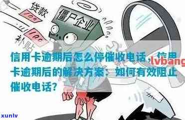 信用卡逾期后如何申请停止服务？相关政策和操作流程详解