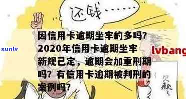 信用卡逾期了多少2019年利息，怎么查，还清，多少钱才会坐牢。