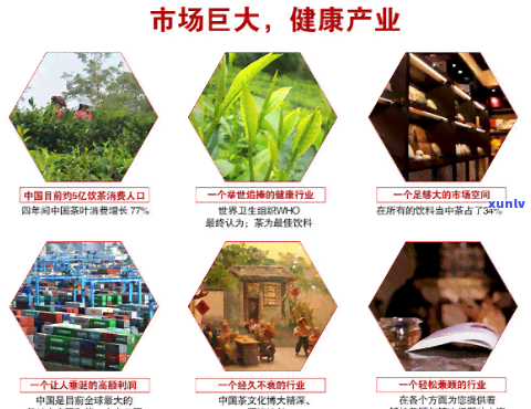 鹰潭普洱茶 *** 公司：一站式茶叶推广、供应与合作解决方案