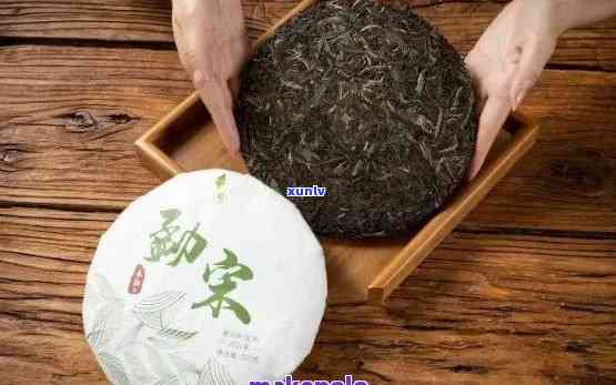 昆明普洱茶公司：寻找高品质普洱茶叶？了解选择、冲泡与品鉴的全攻略！