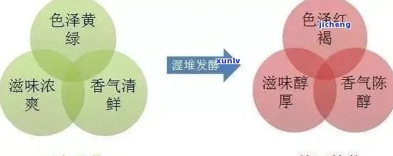 普洱茶：从色泽到色的艺术鉴与品质对比