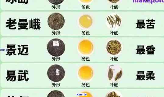 普洱茶品种及其特点：形状、颜色解析与比较