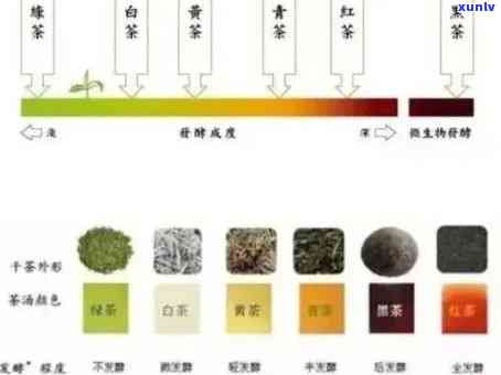 探究普洱茶色变化的多种因素及其原因