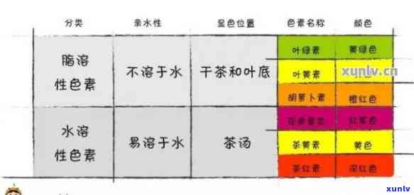 普洱茶色泽特征及描述