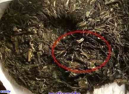 什么影响普洱茶色