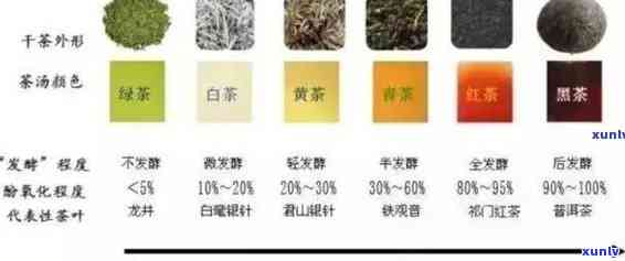 普洱茶与绿茶中的茶多酚含量对比：哪个更多？