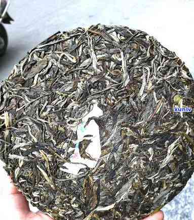 优质云南普洱茶357克，冰岛古树茶新货批发价，货源充足，品质保证