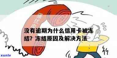 没有逾期为什么信用卡被停用了？被冻结、还能用的原因及解决办法