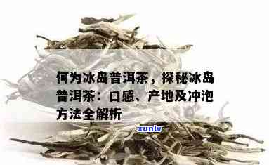 云南普洱冰岛茶泡法：如何冲泡出好喝的冰岛普洱茶及价格和功效解析