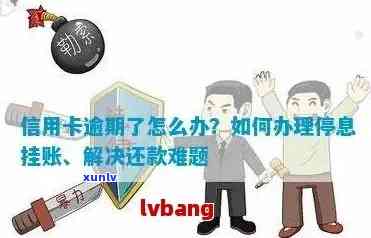 信用卡逾期后的有效处理策略：如何避免挂失并恢复正常使用