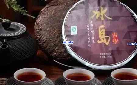 冰岛普洱茶之争：生茶与熟茶的口感比较分析