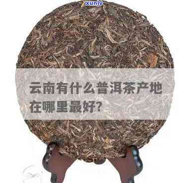 普洱茶产地排行榜：云南前十名产茶地盘点