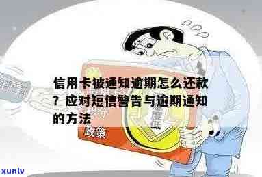 信用卡逾期警示：短信提醒、如何处理、逾期后果及解决 *** 一文解析