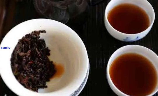 普洱茶生茶与熟茶：哪个更好？了解两者的区别和特点