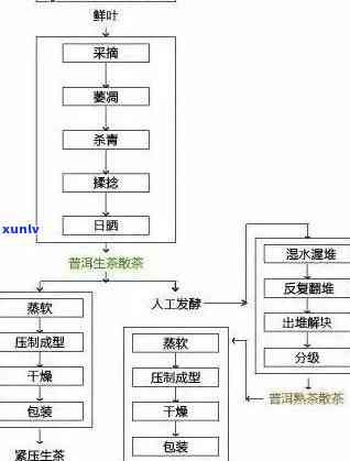  *** 加盟普洱茶流程