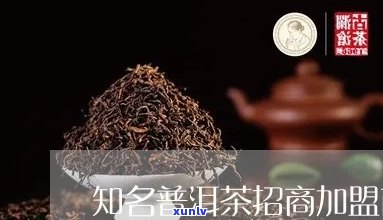 普洱茶招商网官网：提供普洱茶招商加盟方案，吸引茶商入驻。