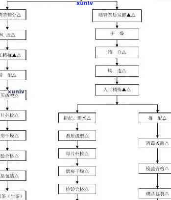 银川加盟普洱茶流程