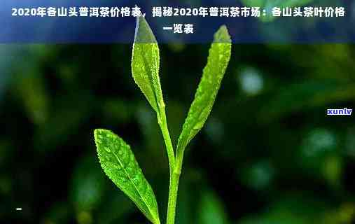 普洱山头茶价格排行：全方位解析各大茶区名优茶叶的市场价格