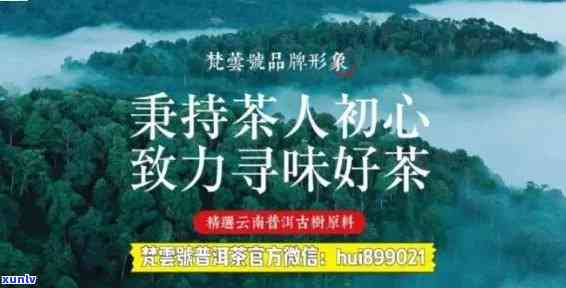 云南普洱茶招商加盟网：探索全球市场，共享成功机遇