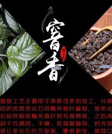 开顺号普洱茶茶化石