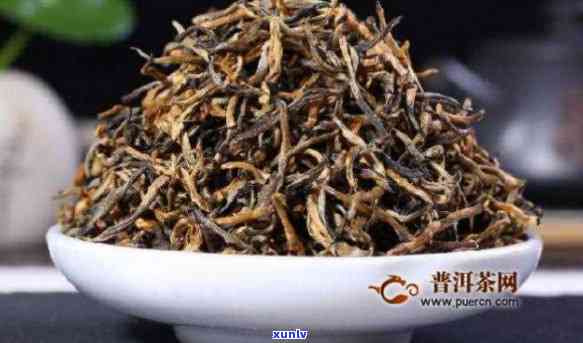 云南凤号滇红茶：品质与口碑并重的茶叶探索