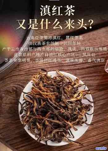 凤号滇红茶全系列价格解析，带你了解各款茶叶的价格差异及购买建议