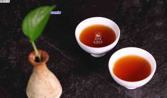 三伏天饮普洱茶的益处：解暑降、一网打尽！