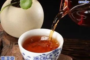 三伏天喝普洱茶生茶还是熟茶好？