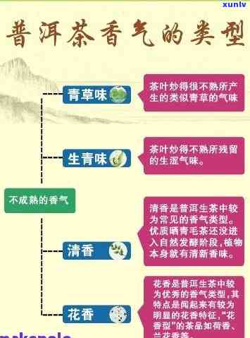 探索中国普洱茶文化：全面了解产地、种类、 *** 工艺及品饮 *** 的极指南