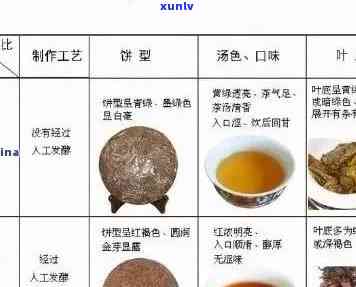 普洱茶文化知识全面解析：从起源、种类、品鉴到泡法，一网打尽！