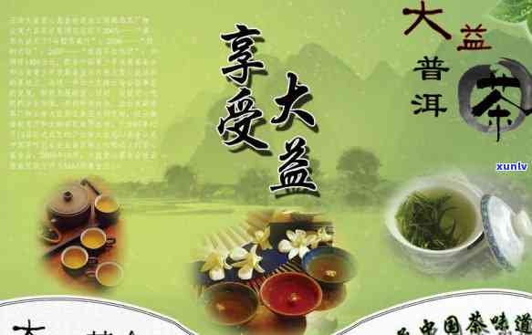 普洱茶与茶文化：一种全球视野下的认识与看法