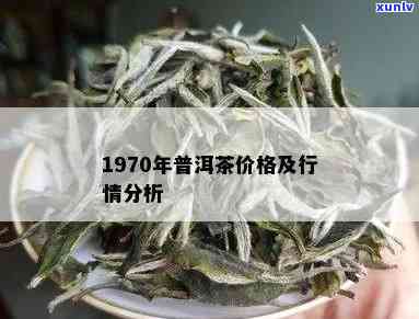 七十年代普洱茶的市场价值及价格趋势分析