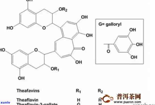 普洱茶中黄曲霉素的特性分析：来源、影响及检测 *** 全面解析