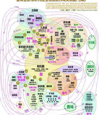 加盟普洱茶项目详细费用分析：包括普洱和加盟费在内，总投资约为万元