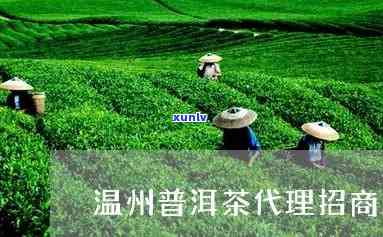 绍兴普洱茶总部 ***  *** 地址查询