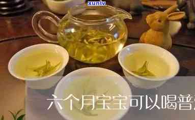 六个月宝宝适合饮用普洱茶吗？医生的建议与健影响探讨