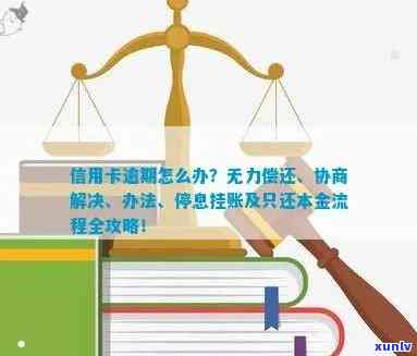 信用卡逾期怎么办？停息挂账流程与协商只还本金咨询