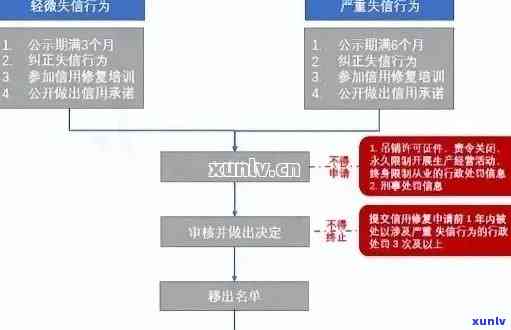 信用卡逾期诉讼立案全流程解析：从欠款到法律程序，一文详解